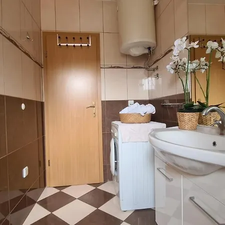 Baskovic בית הארחה 3*