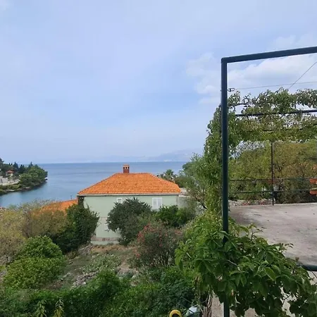 Baskovic 3*