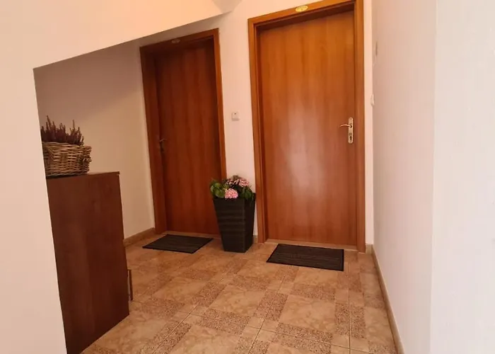 Baskovic Penzion 3*
